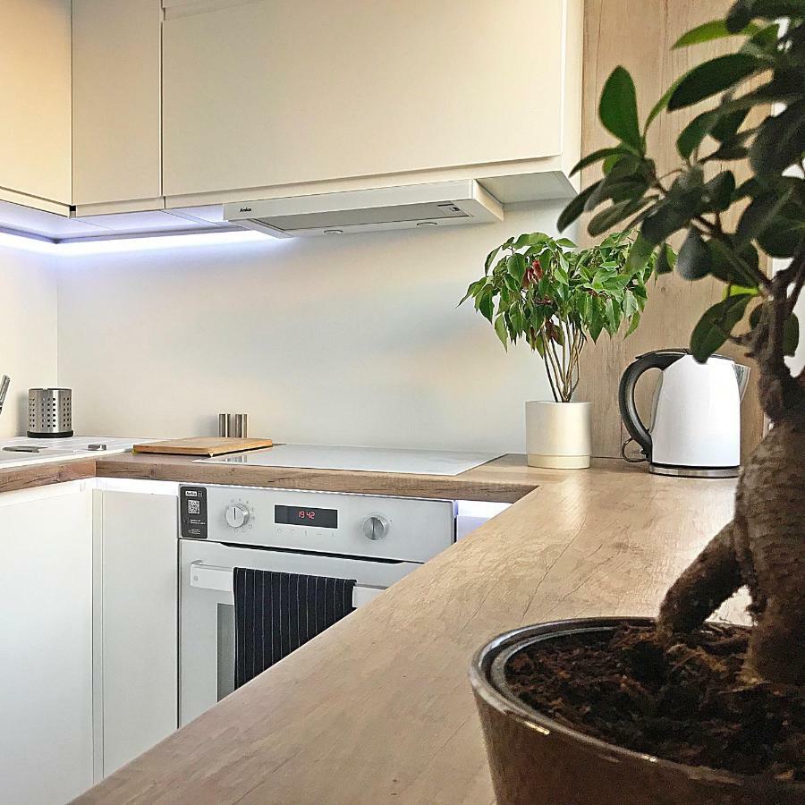 Pure Apartment Stary Toruń Εξωτερικό φωτογραφία